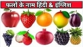 All Fruits Name in Hindi and English 