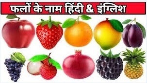पालतू जानवरों के नाम | Domestic Animals in Hindi and English पालतू जानवरों के नाम | Domestic Animals in Hindi and English