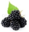 Blackberry