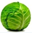 Cabbage