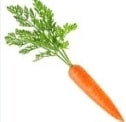 Carrot