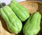 Chayote vegetable