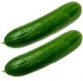 Cucumber