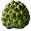 Custard Apple