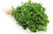 Fenugreek Leaves