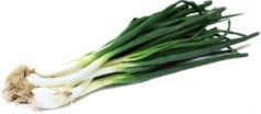 Green onion