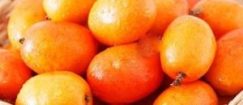 Hog Plum