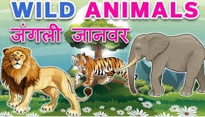 पालतू जानवरों के नाम | Domestic Animals in Hindi and English पालतू जानवरों के नाम | Domestic Animals in Hindi and English