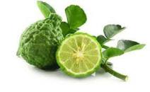 Kaffir Lime