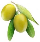 Olive Fruit