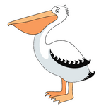 Pelican