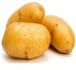 Potato