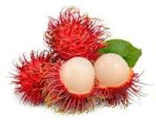 Rambutan