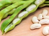 White Kidney beans