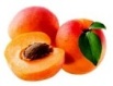 apricot