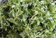 chane ka saag