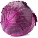 red cabbage