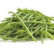 samphire vegetable