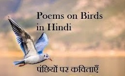 Poem About Birds in Hindi