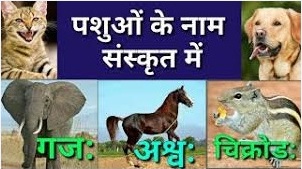 Animals Name in Sanskrit | जानवरों के नाम संस्कृत में