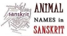 animals name in sanskrit and hindi