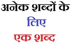 One Word Substitution in Hindi