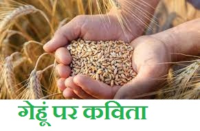 Poem On Wheat in Hindi