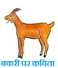 Poem on Goat in Hindi