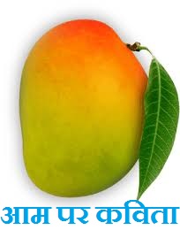 Poem on Mango in Hindi