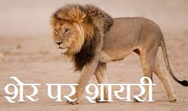 Lion Shayari in Hindi
