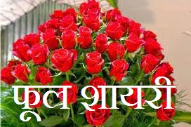 Phool Shayari in Hindi